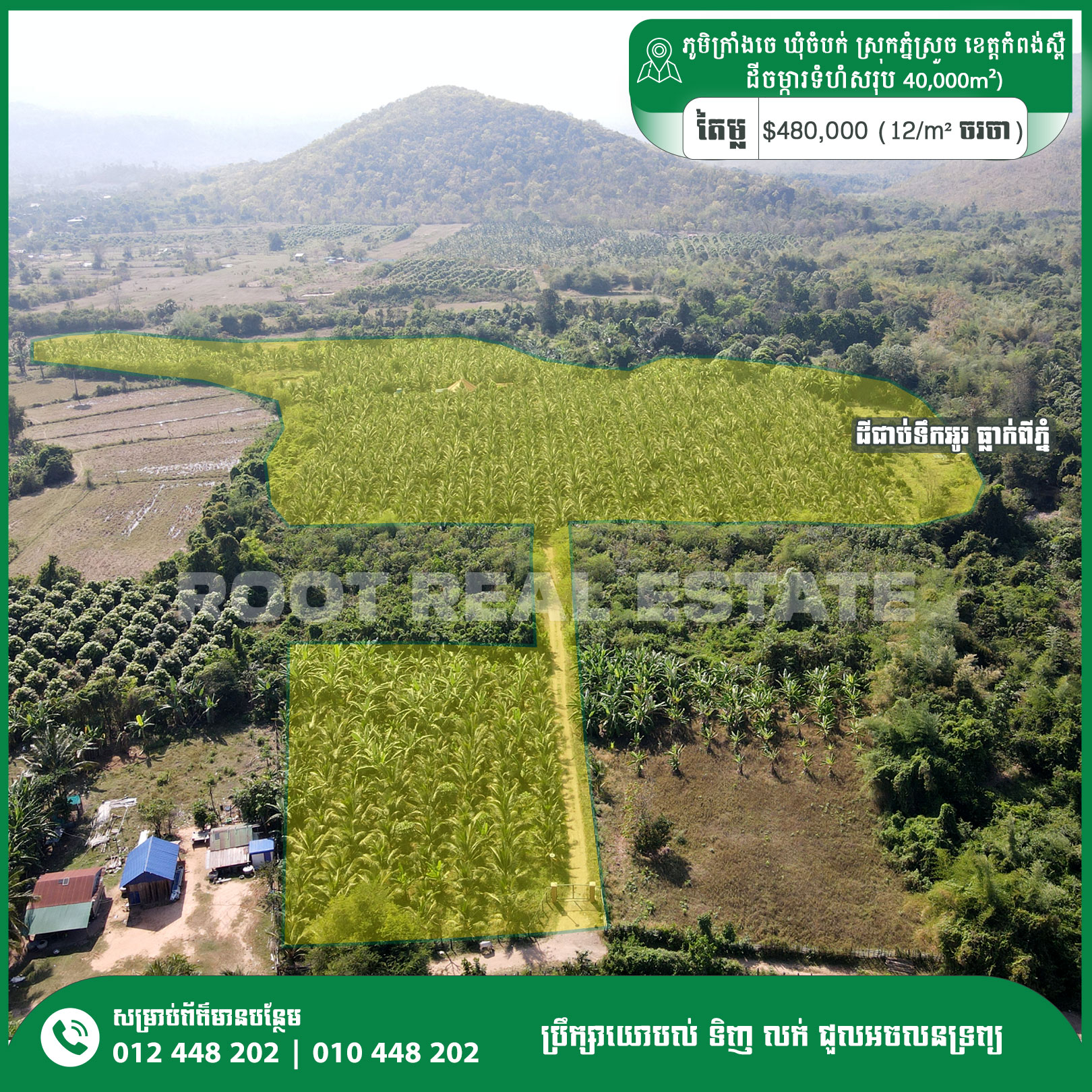 Kampong Speu - Coconut Farm For Sale (4Hecta Land)