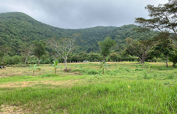 Land For Fale 58$/m² 10km from Kep beach, Mountain View